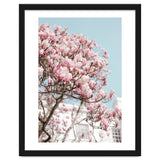Spring Time thumbnail