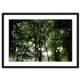 Light bulb among the trees in the summer forest thumbnail