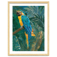Macaw in the jungle
