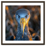 Great Blue Heron Closeup Dramatic Portrait thumbnail