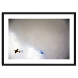 The Little Prince thumbnail