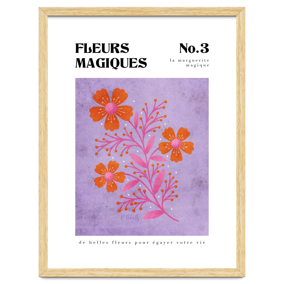 Magical Flowers No.3 Magic Daisy