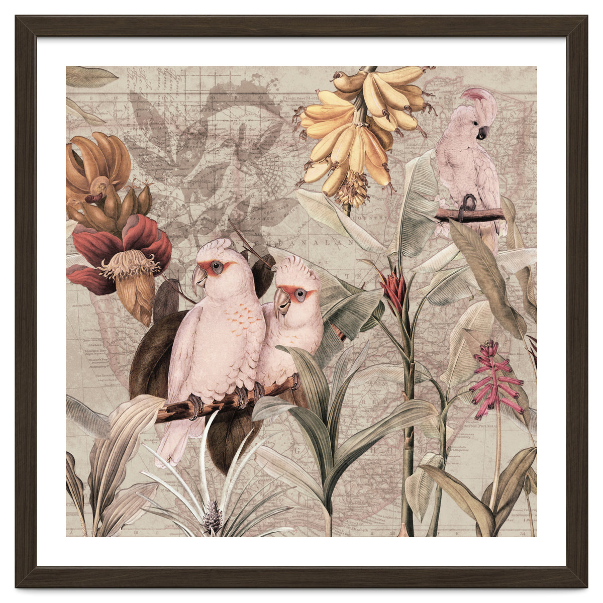 Cockatoo Exotic Bird Jungle