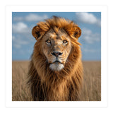Majestic Lion In African Savanna Under Blue Sky (Print Only) thumbnail