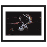 Deer Skull thumbnail