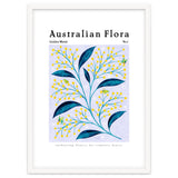 Australian Flora: Golden Wattle thumbnail