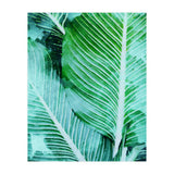 Rearranged Beauty (Print Only) thumbnail
