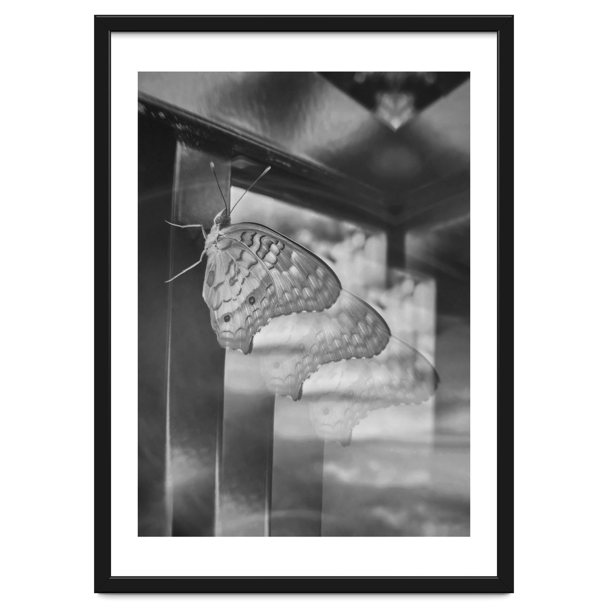 Evolving | Black & White