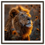 Majestic Lion In A Field Of Sunflowers thumbnail