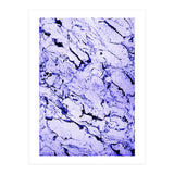 Beauty In Texture (Print Only) thumbnail
