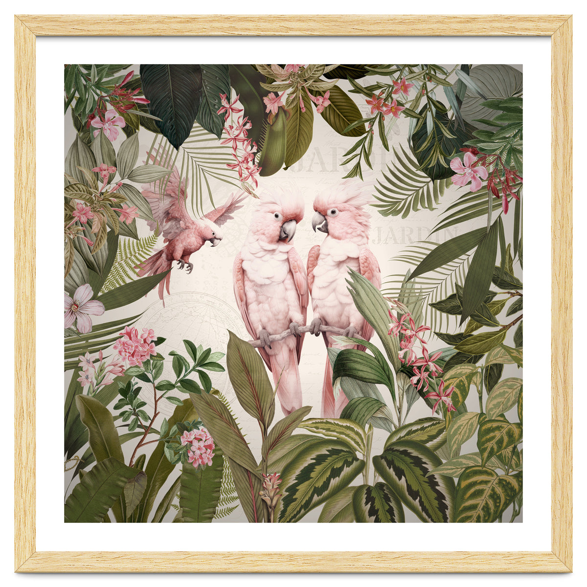 Pink Parrots Exotic Rainforest