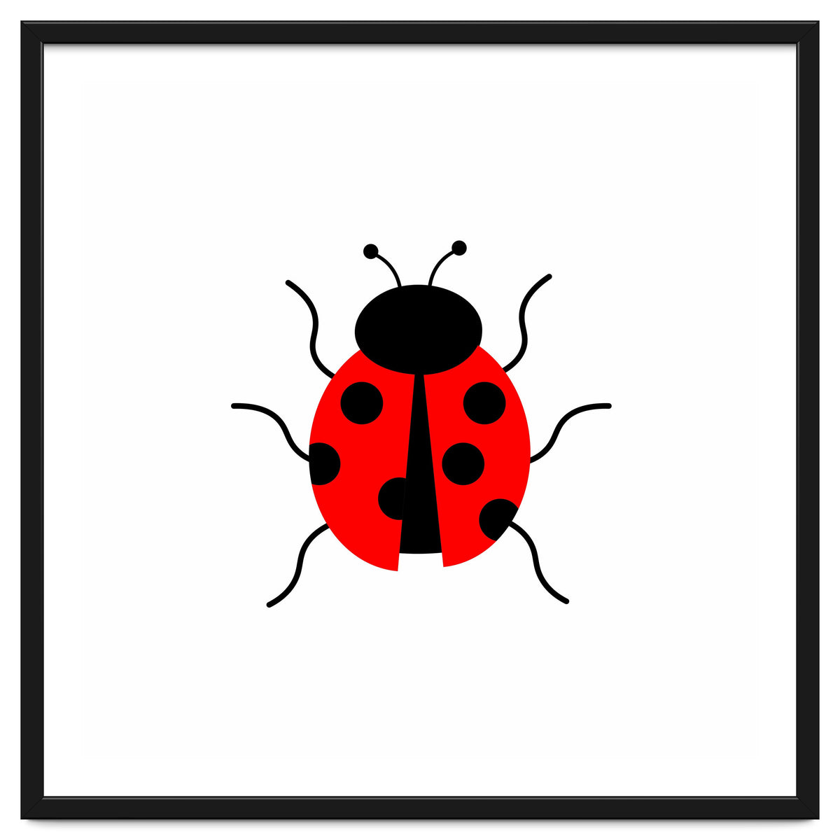 Lady Bug