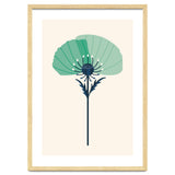 Teal Half Poppy thumbnail