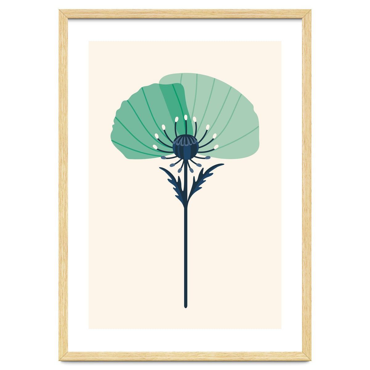Teal Half Poppy