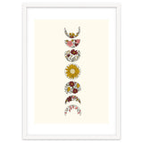 Floral Phases Of The Moon thumbnail