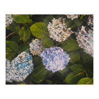 Hydrangeas | Landscape (Print Only)