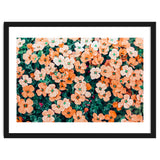 Floral Bliss, Nature Photography Garden Meadow, Blush Orange Coral Summer Flowers Botanical thumbnail