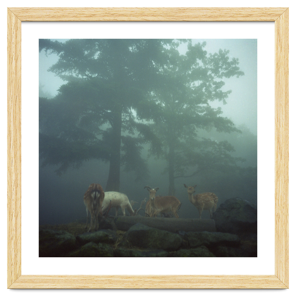 Silence of breath - 05