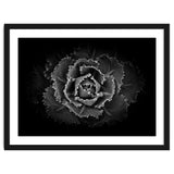 Backyard Flowers In Black And White No 101 thumbnail