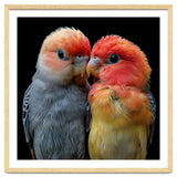 Two Lovebirds Nuzzle Together thumbnail
