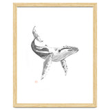 Whale thumbnail