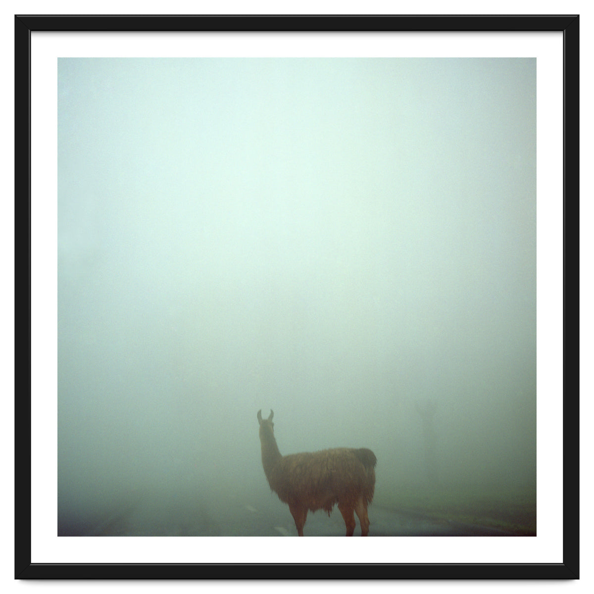 Silence of breath - 04