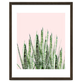 Botanical Balance thumbnail