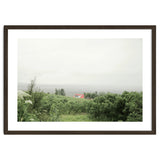 Red Roof house in between the summer green field - Iceland thumbnail