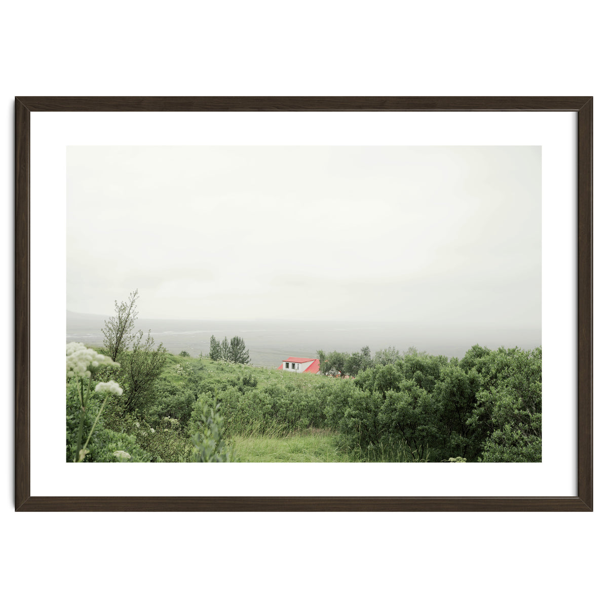 Red Roof house in between the summer green field - Iceland
