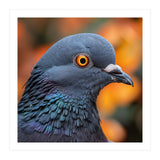 Close Up Of A Pigeon's Head And Neck (Print Only) thumbnail