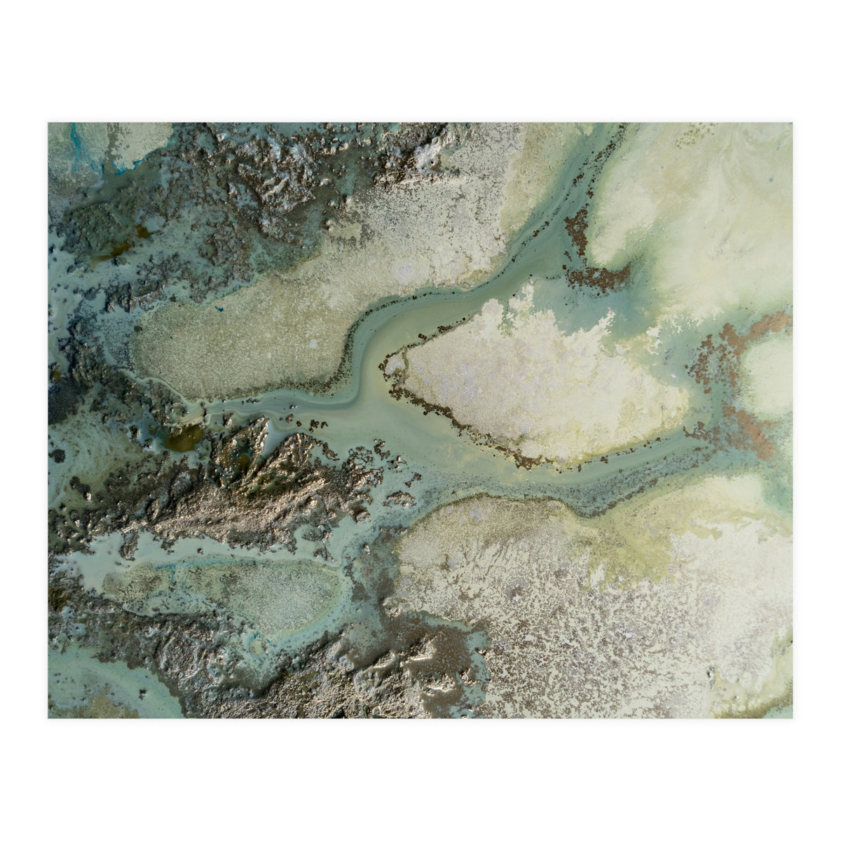 Evergreen (Print Only)