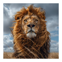 Majestic Lion Portrait Windblown Mane Outdoors (Print Only)