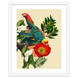 Birds Life thumbnail