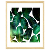 Cosmic Banana Leaves thumbnail