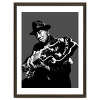 Taj Mahal American Blues Musician Legend