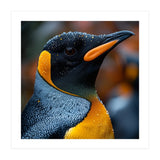 King Penguin With Water Droplets In Rain (Print Only) thumbnail