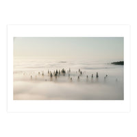 Misty Peaks: Pine Forest Above the Clouds (Print Only)