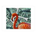 Flamingo Self Portrait (Print Only) thumbnail
