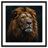 Majestic Lion Portrait In Gentle Rain thumbnail