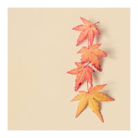 Maple In Pastel (Print Only)
