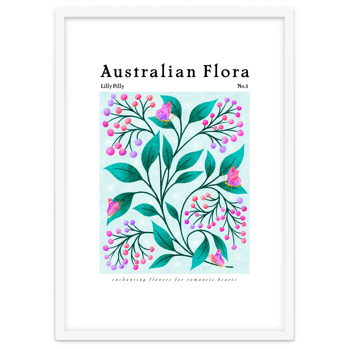 Australian Flora: Lilly Pilly