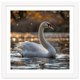 Graceful Swan Gliding On Reflective Water Surface thumbnail