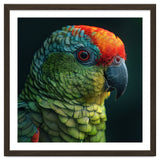 Close Up Colorful Parrot Bird Feather thumbnail