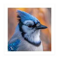 Blue Jay Bird Close Up Detailed Portrait (Print Only)
