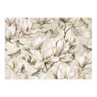Magnolia And Butterfly Cream (Print Only)