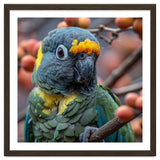 Yellow Headed Amazon Parrot Close Up Portrait thumbnail