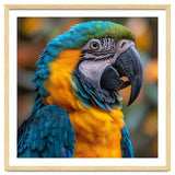 Blue And Yellow Macaw Parrot Close Up Portrait thumbnail