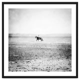 Sea Horse thumbnail