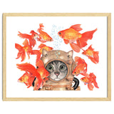 Scuba Catlgbright thumbnail