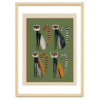 Striped Lemurs